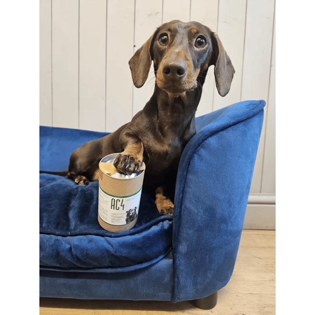 AC4 | Assists in the Fight Against Cancer - Image 10