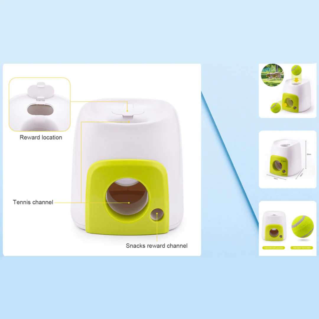 AFP Interactive Fetch and Treat - Image 4