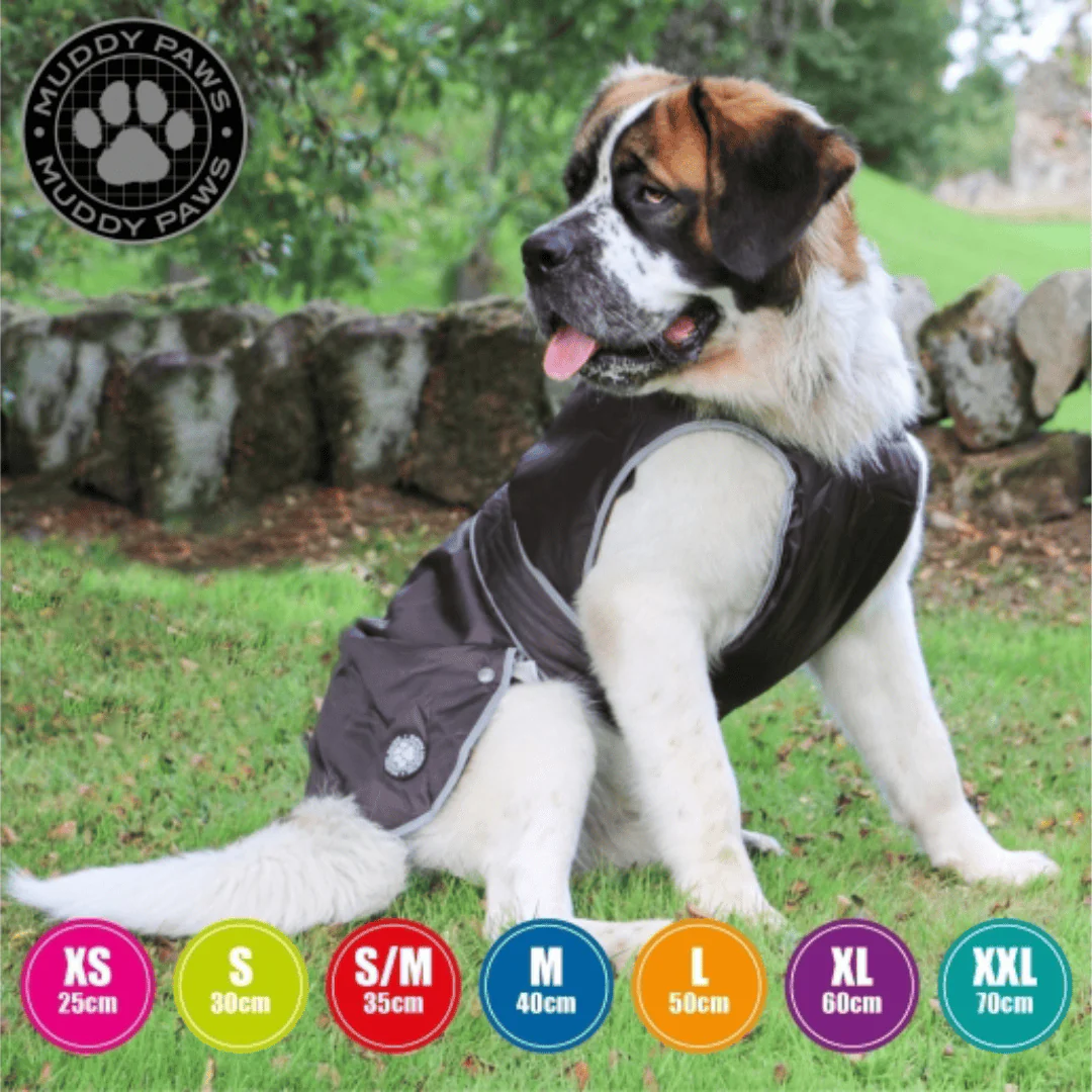 Ancol Stormguard Black Dog Coat - Image 4