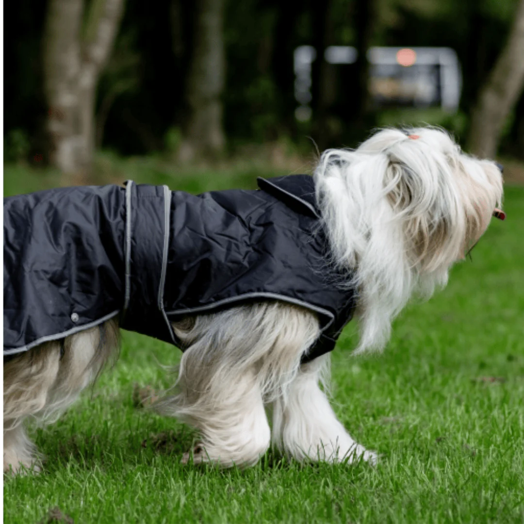 Ancol Stormguard Black Dog Coat - Image 6