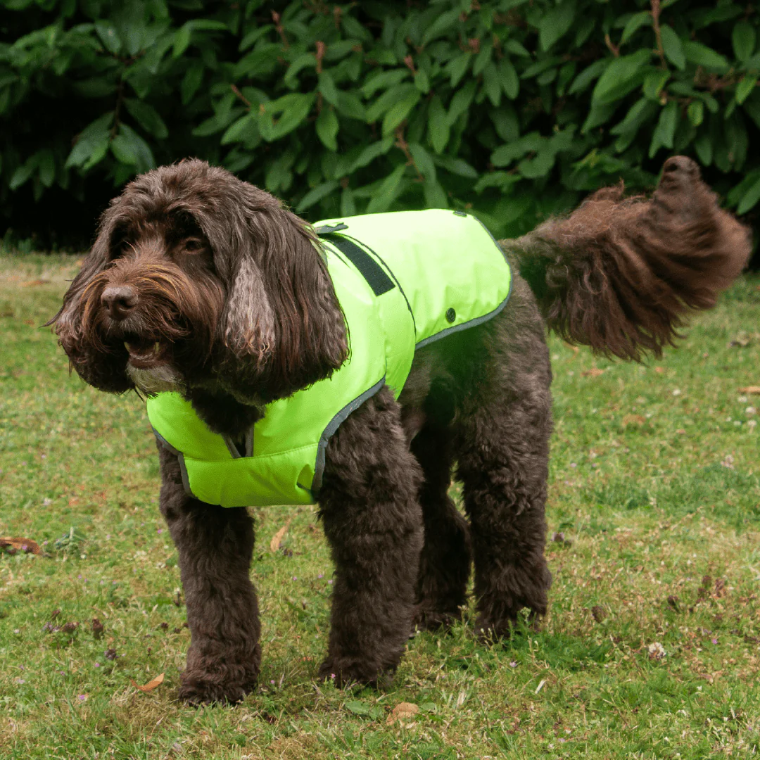 Ancol Stormguard Hi Vis Dog Coat - Image 5