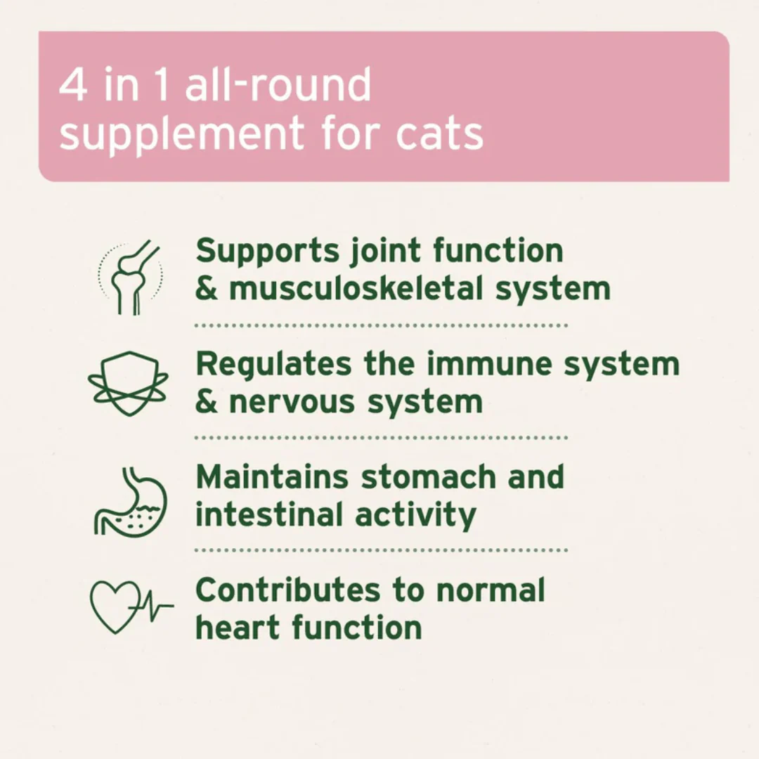 Aniforte 4in1 Complete Cat - Image 3