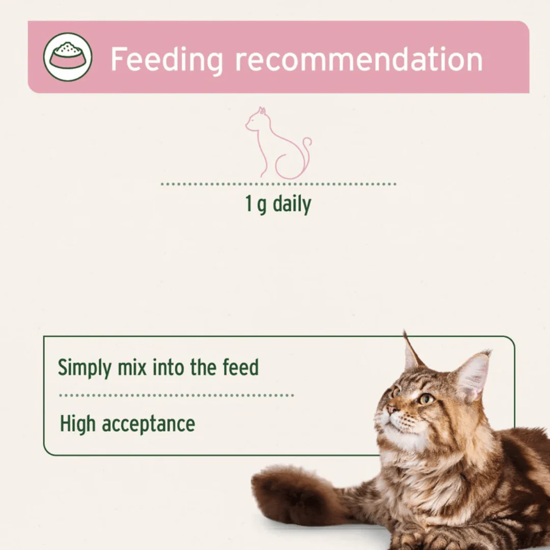 Aniforte 4in1 Complete Cat - Image 6