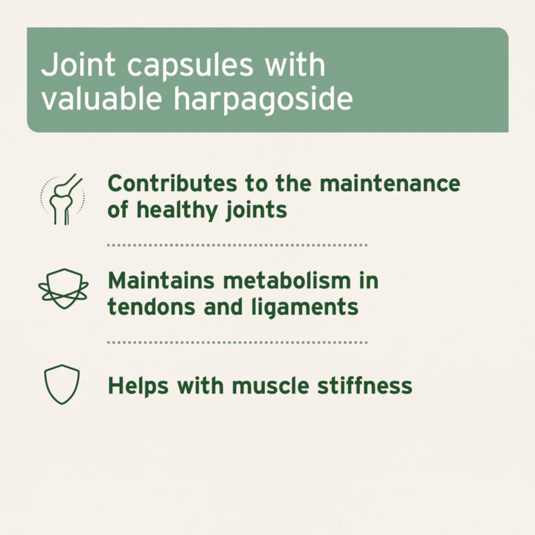 AniForte Devil's Claw Capsules - Image 4