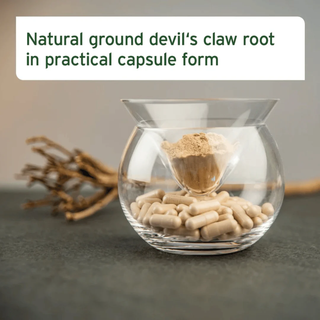 AniForte Devil's Claw Capsules - Image 5