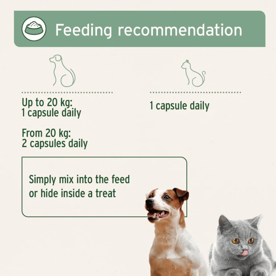 Aniforte Salmon Oil Capsules - Image 5