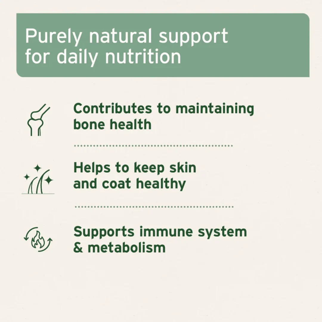 Aniforte Salmon Oil Capsules - Image 7