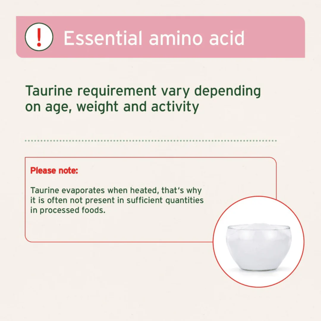 AniForte Taurine Powder for Dogs - Image 5