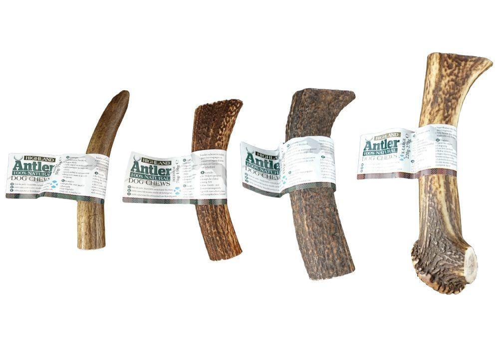 Antlers for Dogs - Image 3