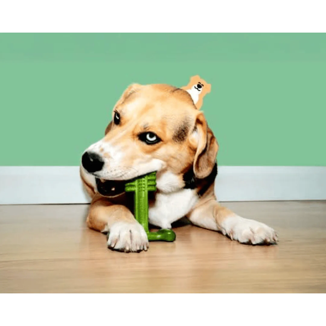 Bamboodles T-Bone Dog Chew - Mint - Image 3