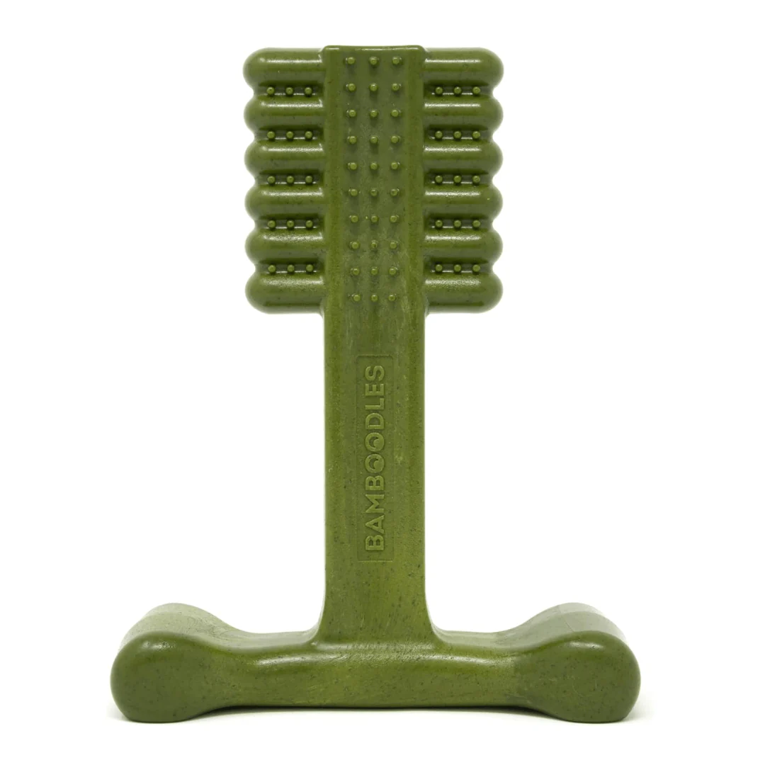 Bamboodles T-Bone Dog Chew - Mint - Image 4