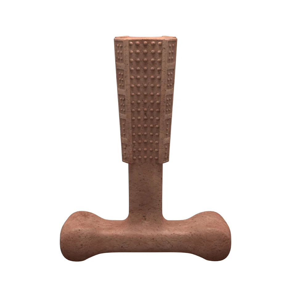 Bamboodles T-Bone Dog Chew - Roast Chicken - Image 3