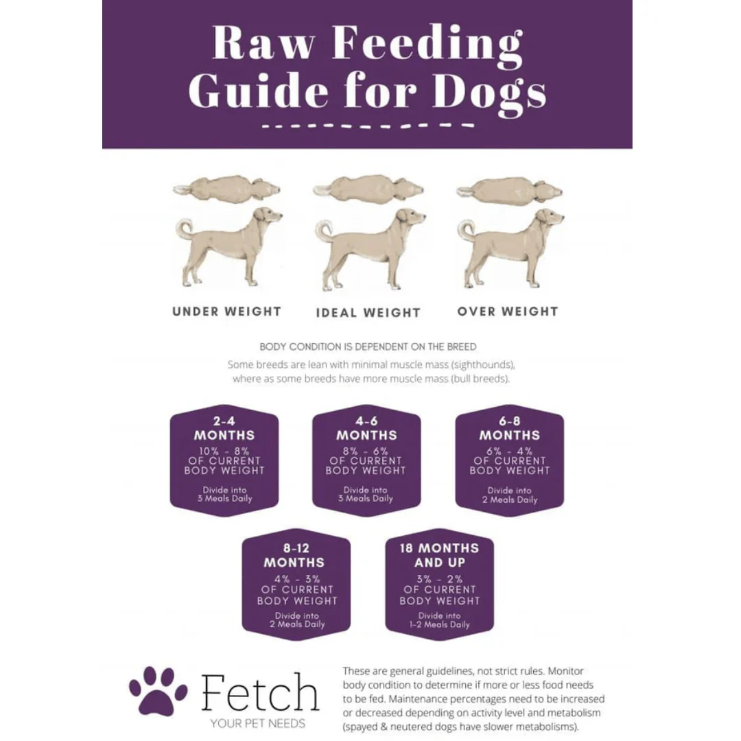 Barkin Bistro Pancreatic Support - Image 4