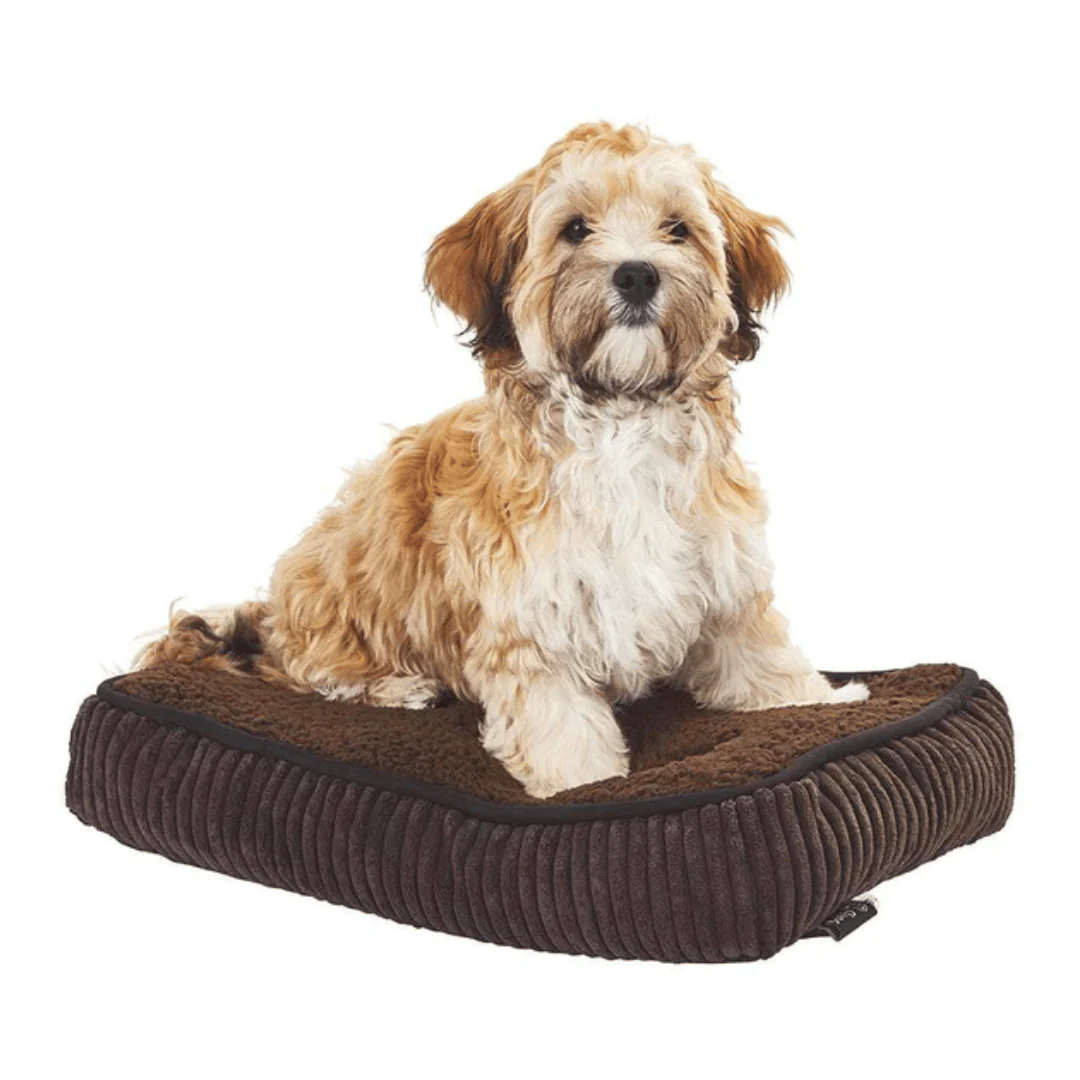 Bunty Snooze Dog Mattress - Image 6