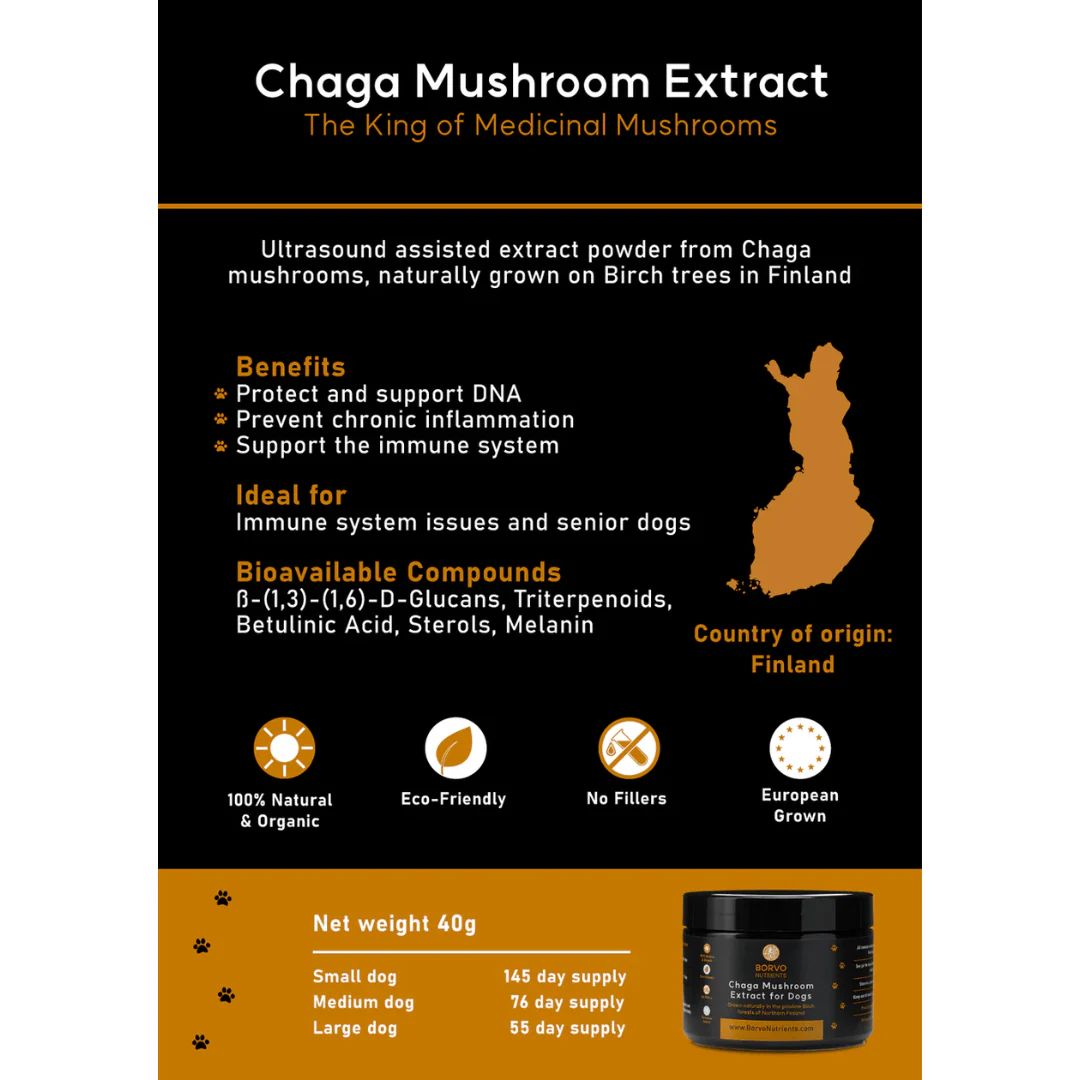 Chaga Mushroom Extract for Dogs - Borvo Nutrients - Image 4