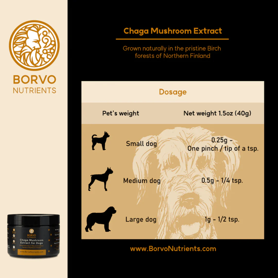 Chaga Mushroom Extract for Dogs - Borvo Nutrients - Image 5