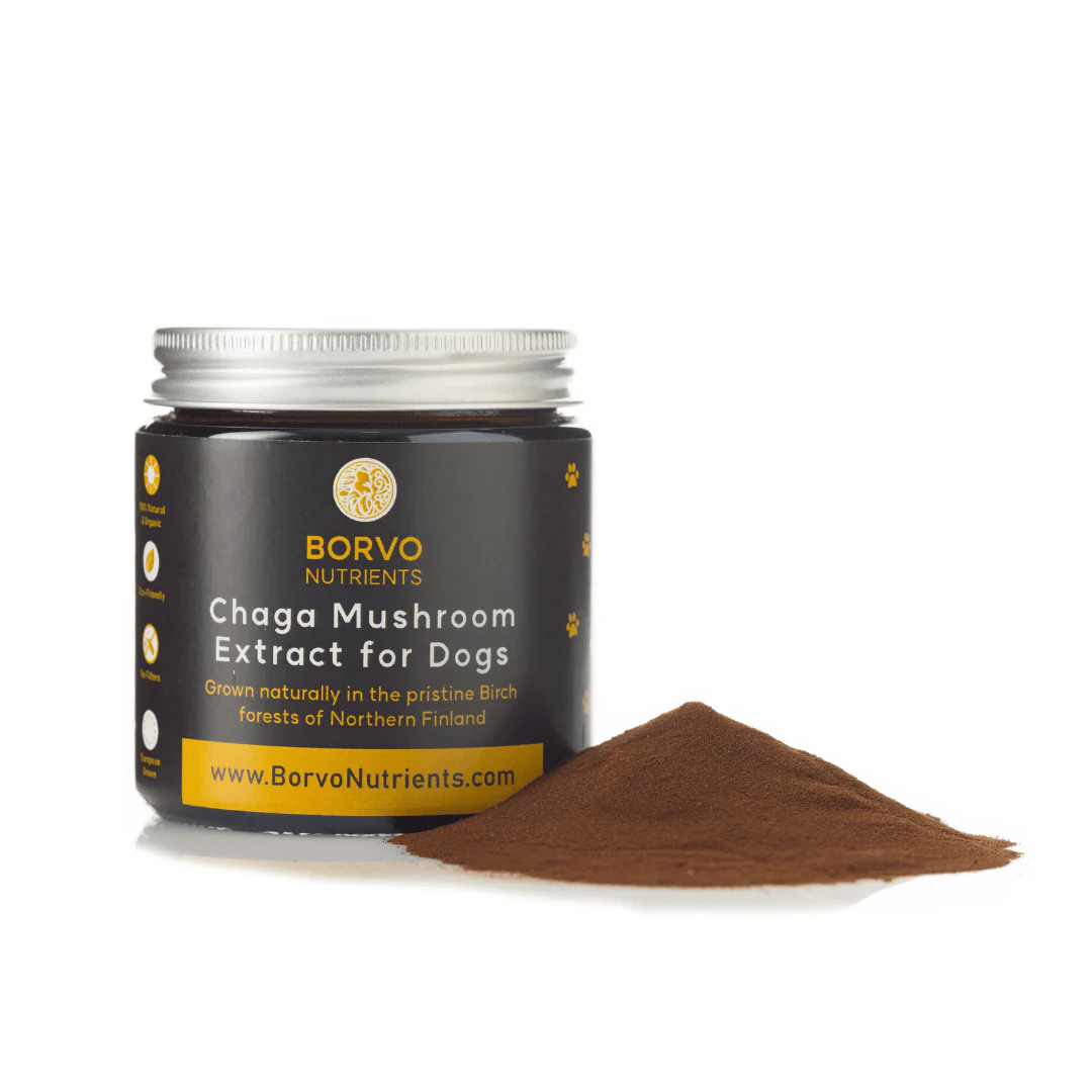 Chaga Mushroom Extract for Dogs - Borvo Nutrients - Image 6