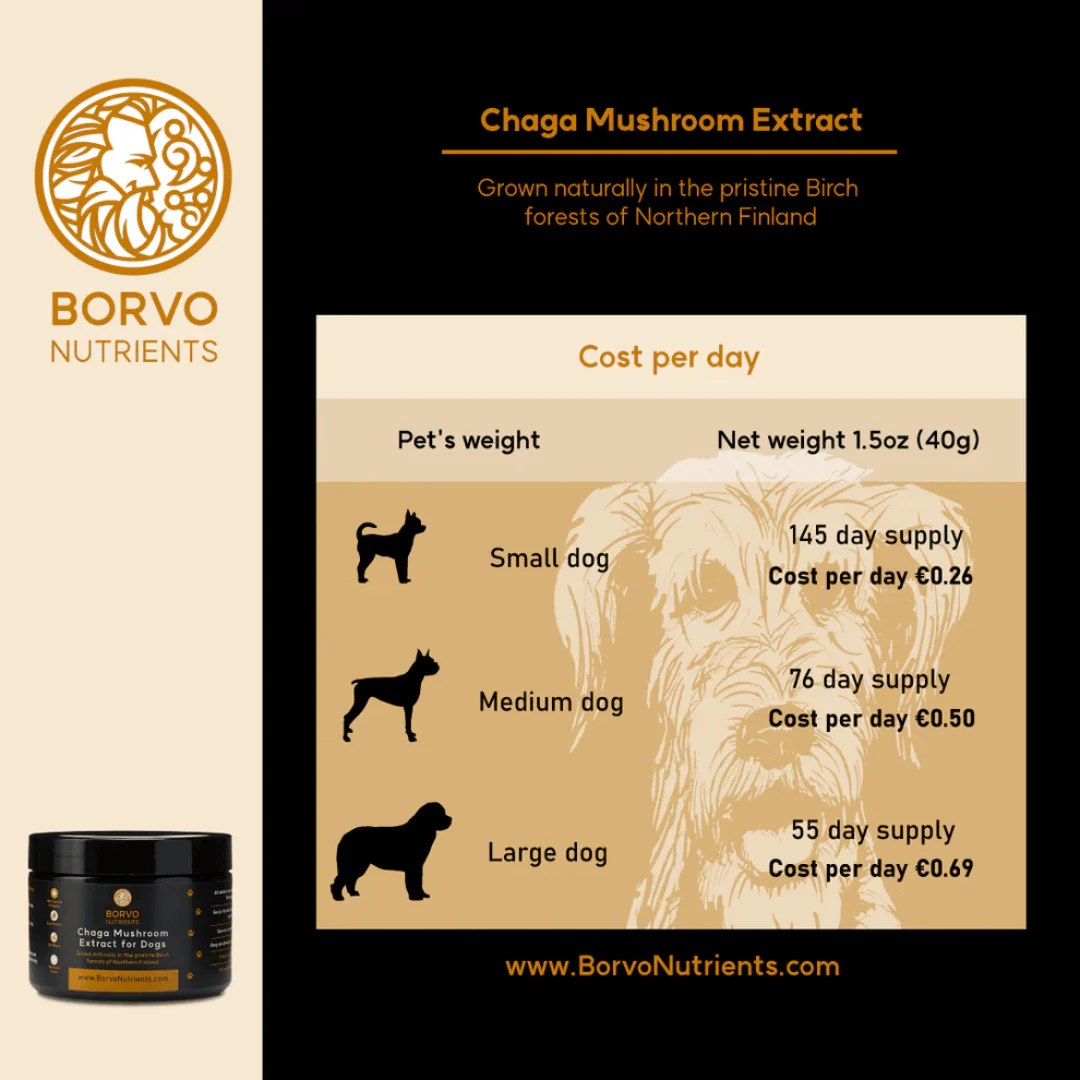 Chaga Mushroom Extract for Dogs - Borvo Nutrients - Image 7