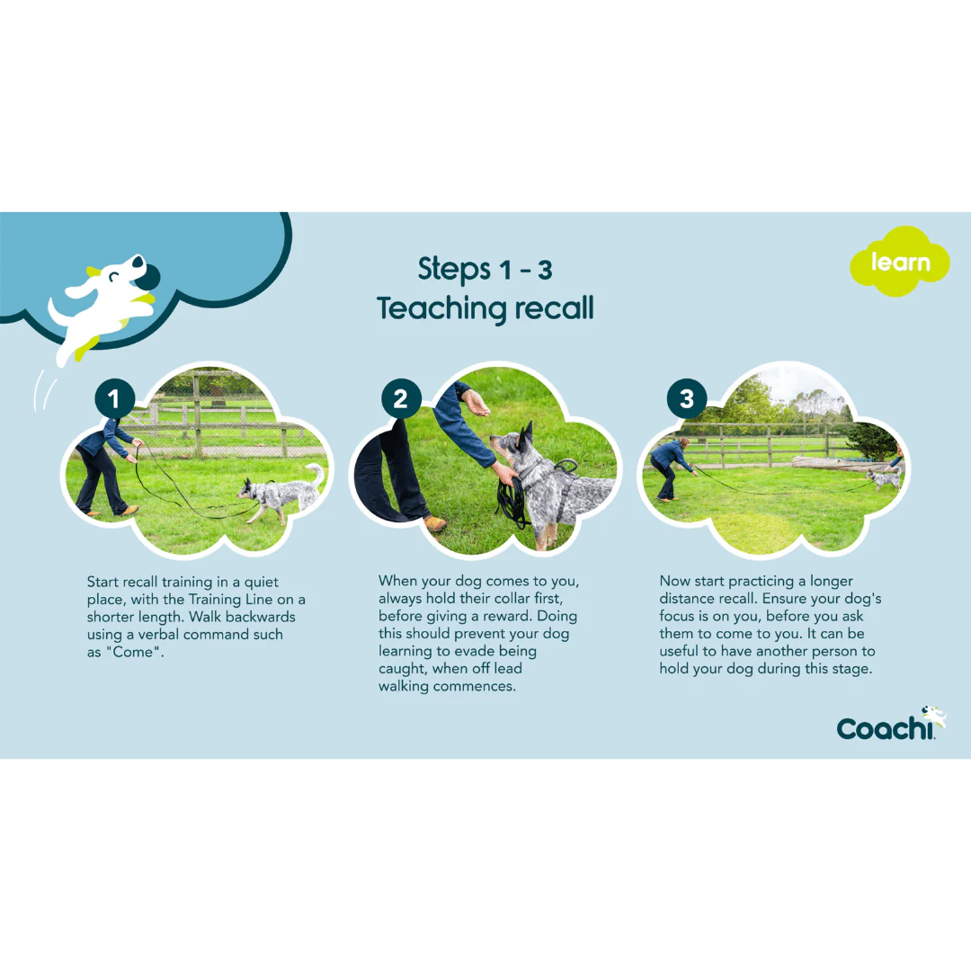 Coachi 10 Meter Training Line - Image 5