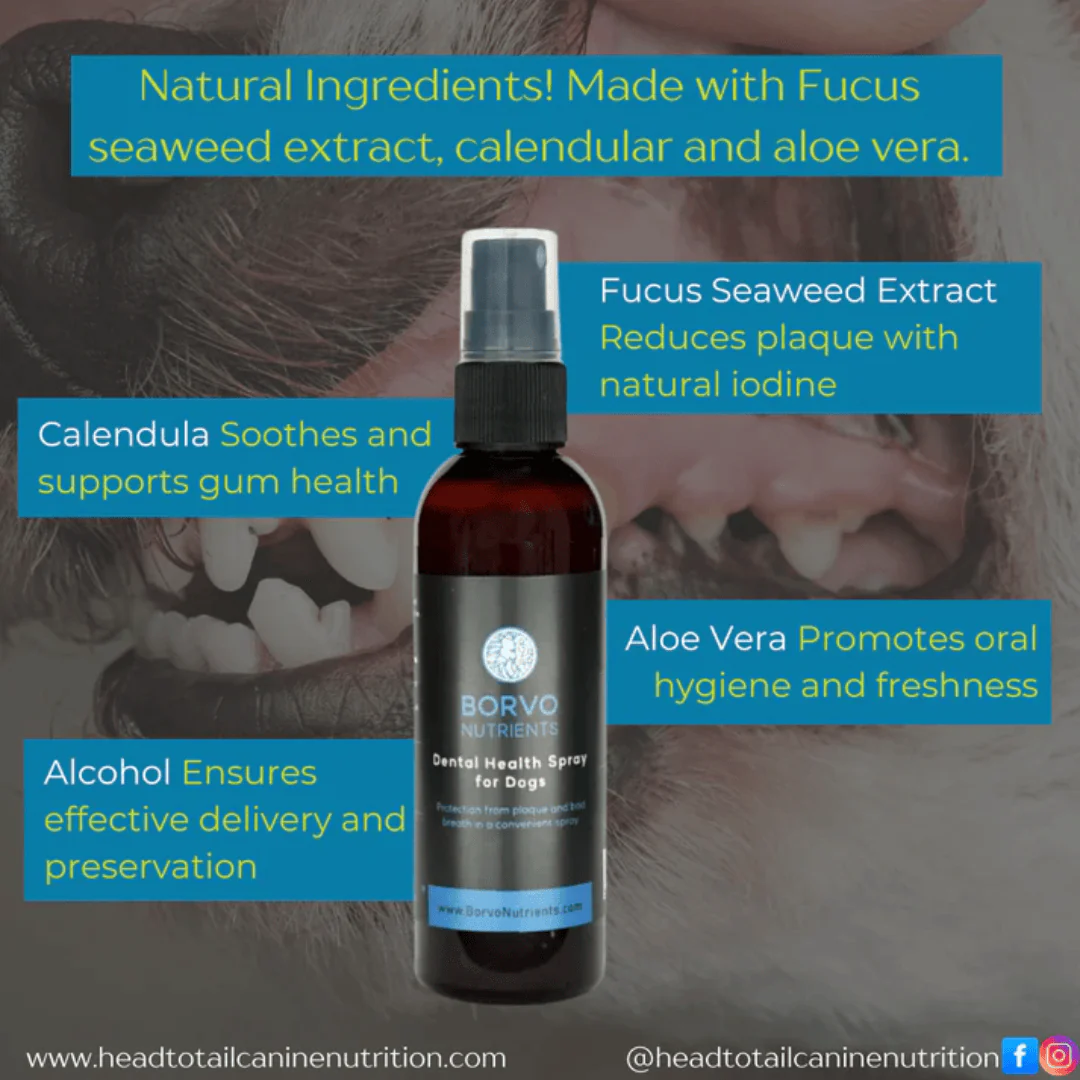 Dental Health Spray for Dogs - Borvo Nutrients - Image 3