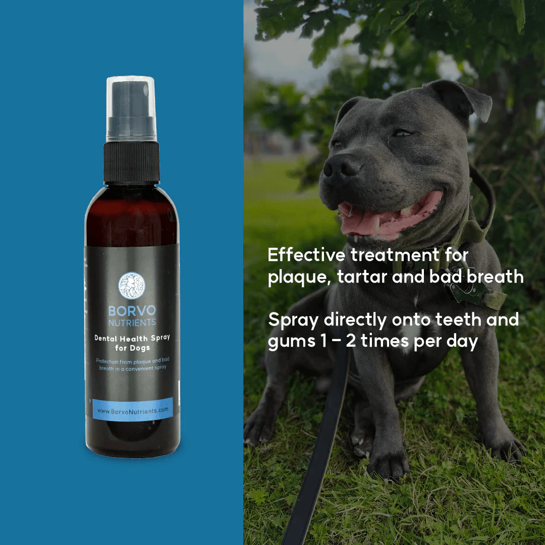 Dental Health Spray for Dogs - Borvo Nutrients - Image 4