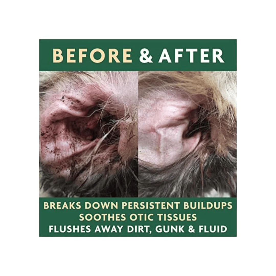 EcoEars Dog Ear Cleaner - Image 5