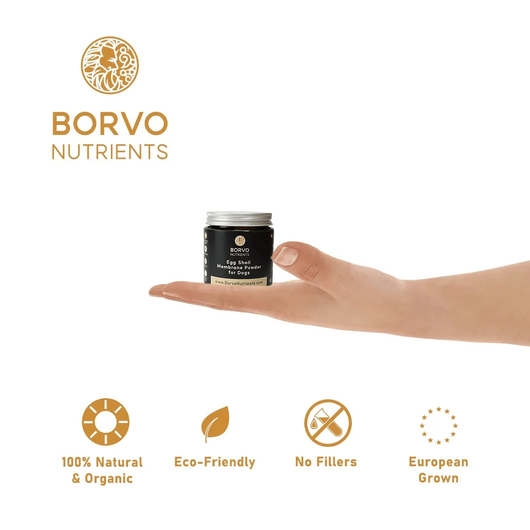 Eggshell Membrane for Dogs - Borvo Nutrients - Image 3