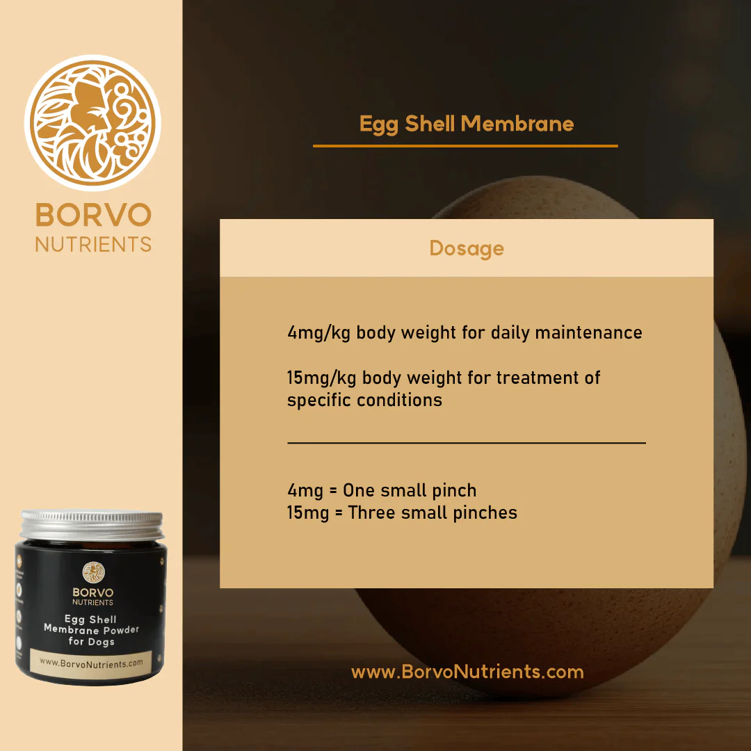 Eggshell Membrane for Dogs - Borvo Nutrients - Image 5