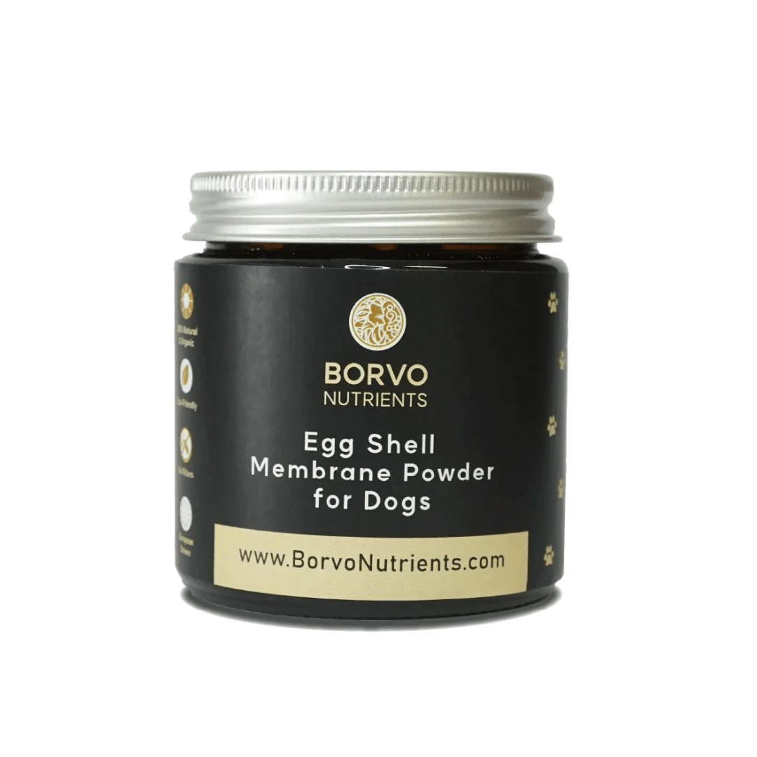 Eggshell Membrane for Dogs - Borvo Nutrients - Image 6