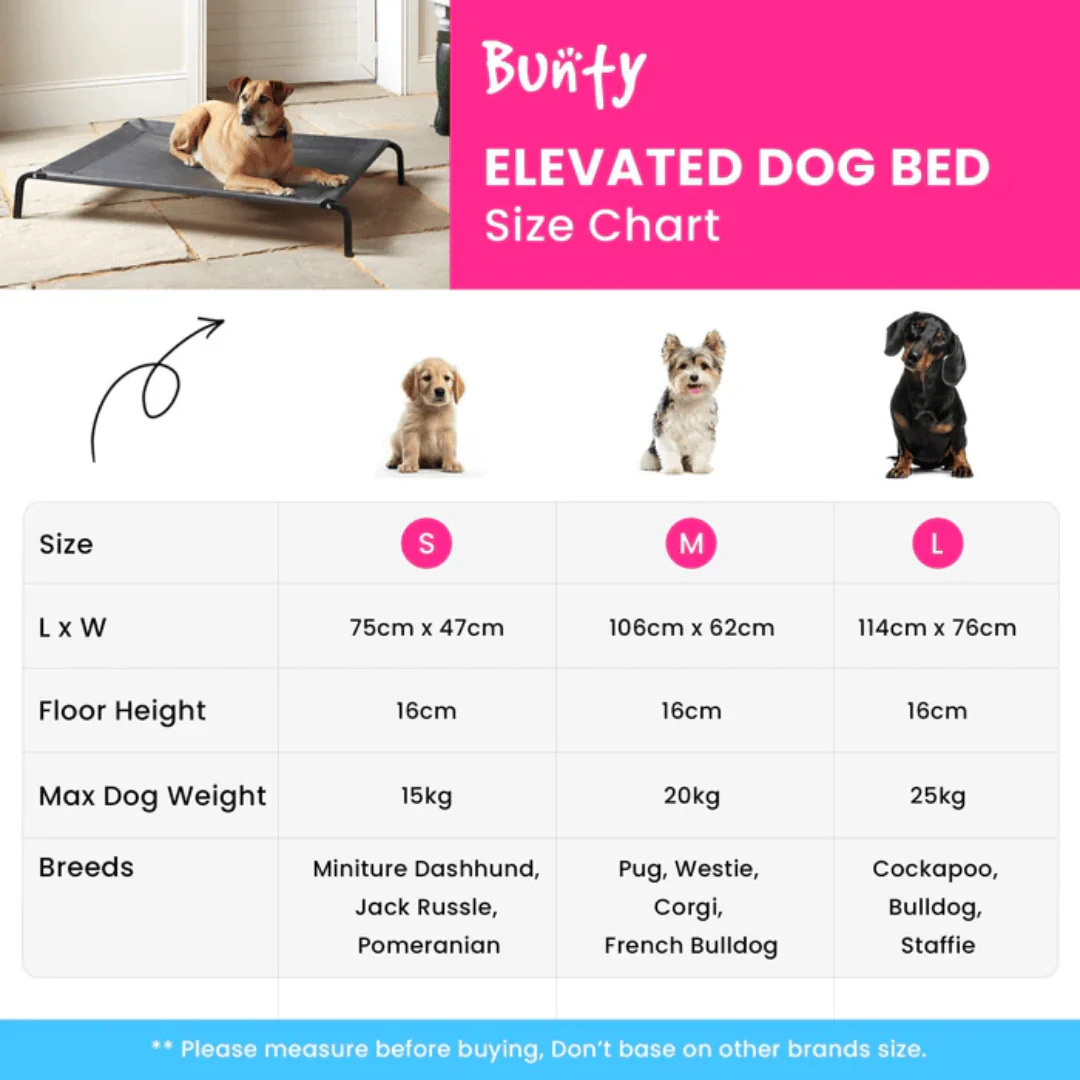 Elevated Dog Bed - Image 6