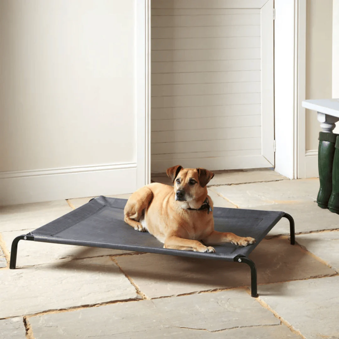 Elevated Dog Bed - Image 8