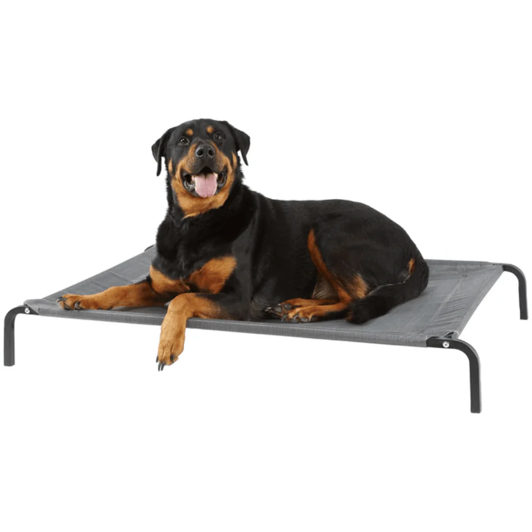 Elevated Dog Bed - Image 9