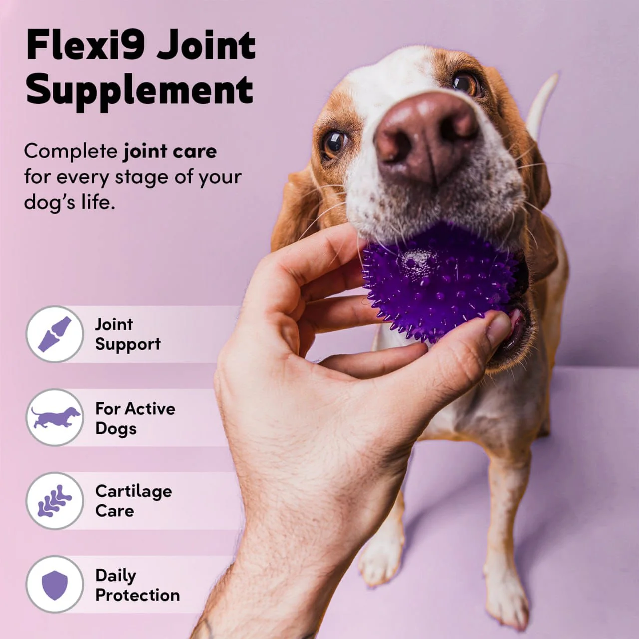 Flexi9 - Joint Plus - Image 4