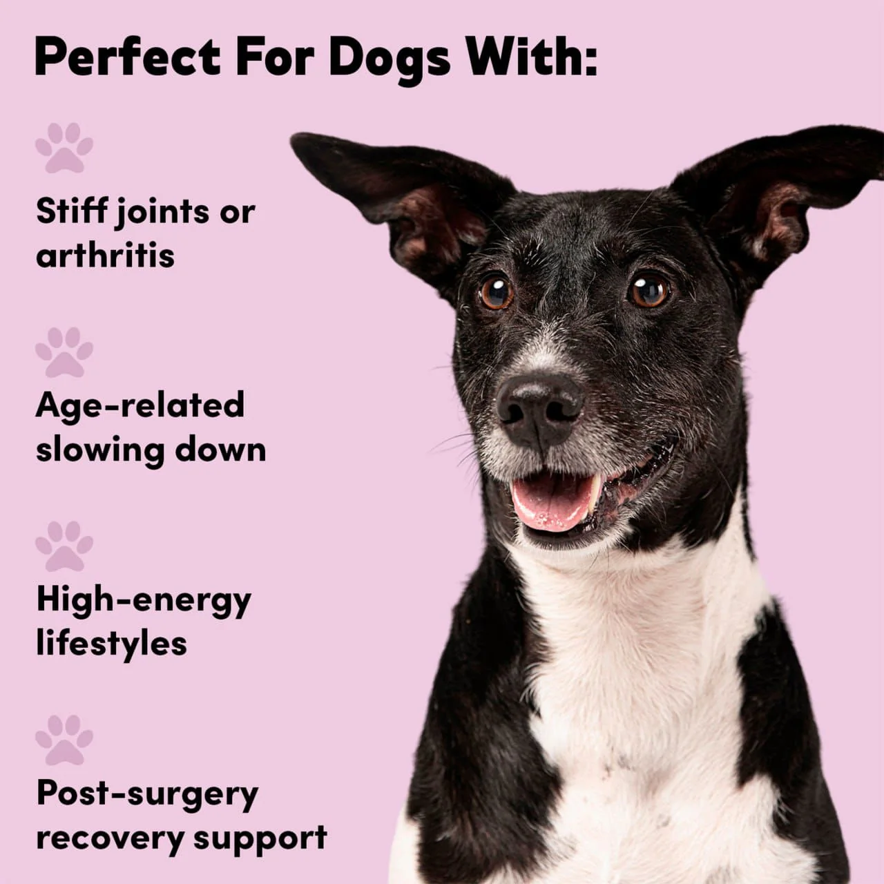 Flexi9 - Joint Supplement - Image 3