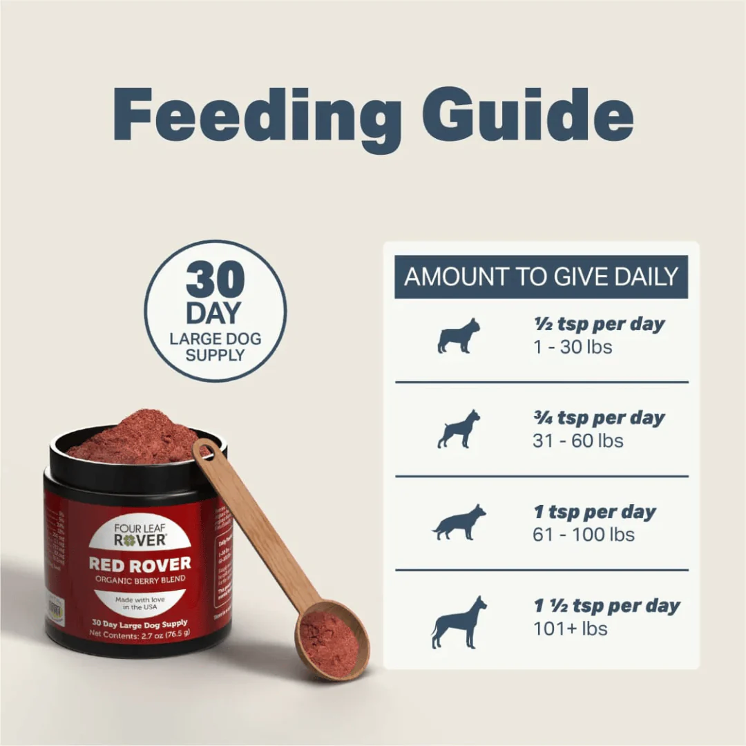 Four Leaf Rover - Red Rover - Organic Berry Blend - Image 4