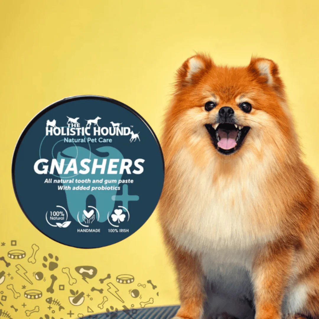 Holistic Hound Gnashers Toothpaste for Dogs - Image 3