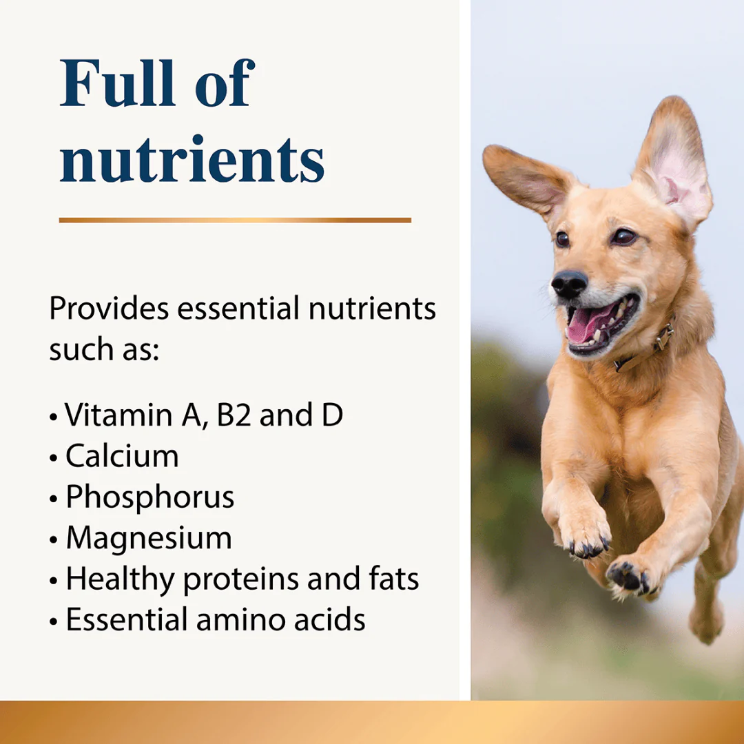 Karnlea Goat Milk Powder for Dogs and Cats - Image 4