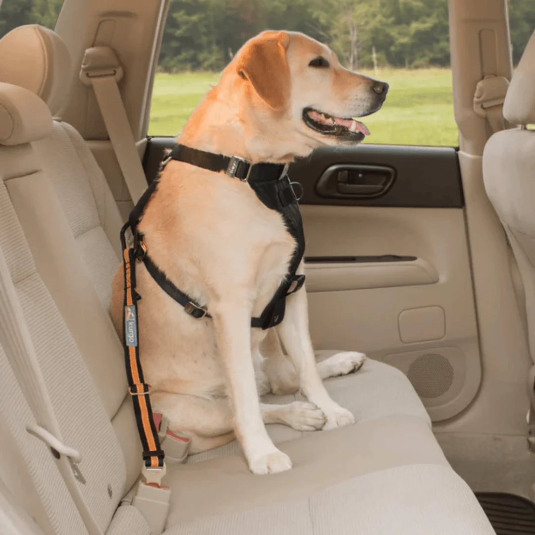 Kurgo Dog Seat Belt | Direct to Seatbelt Tether - Image 3