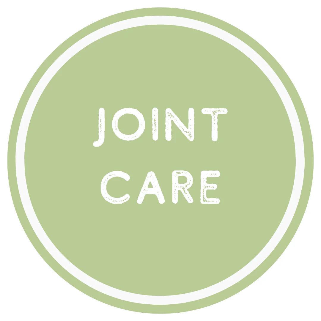 Tripe Filled Bone - Image 8