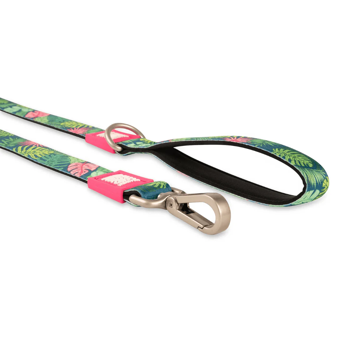 Max & Molly Tropical Dog Lead - Image 4