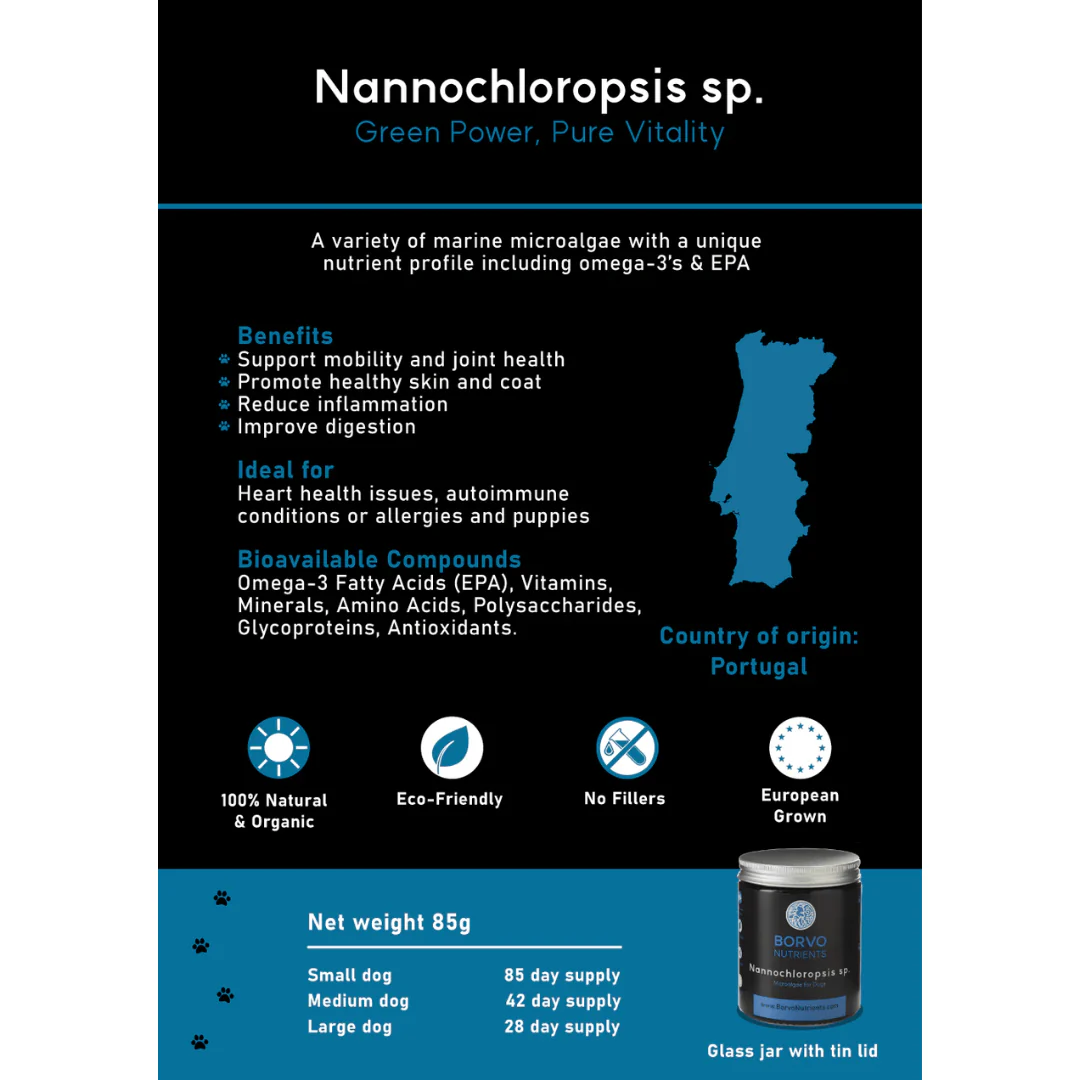 Nannochloropsis Sp. for Dogs - Borvo Nutrients - Image 3