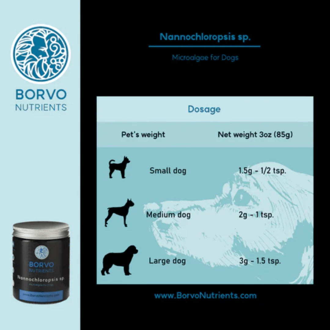 Nannochloropsis Sp. for Dogs - Borvo Nutrients - Image 4