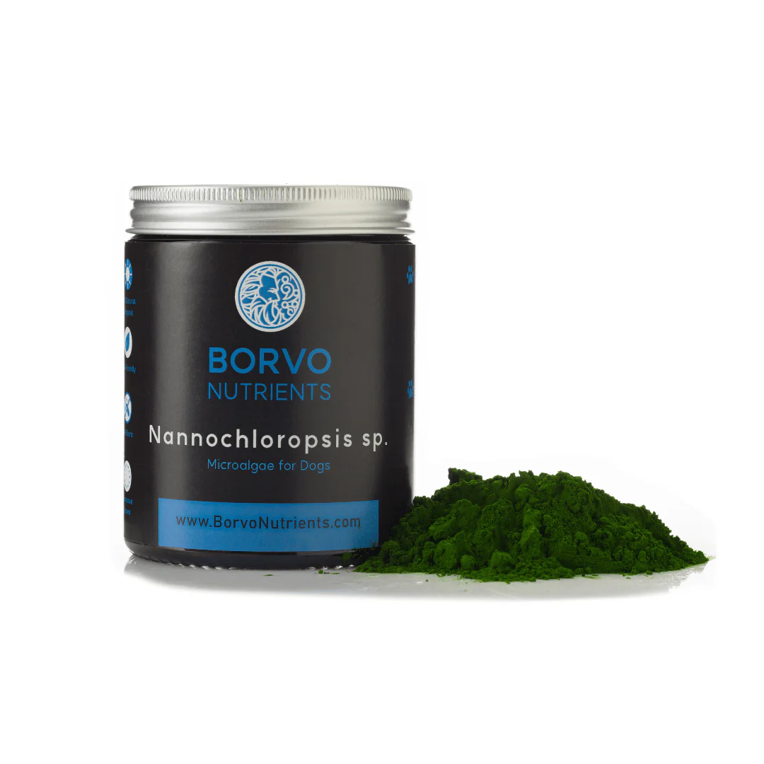 Nannochloropsis Sp. for Dogs - Borvo Nutrients - Image 5