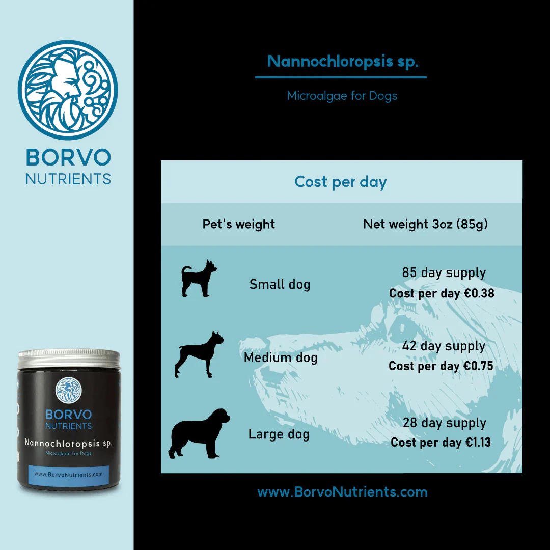 Nannochloropsis Sp. for Dogs - Borvo Nutrients - Image 6