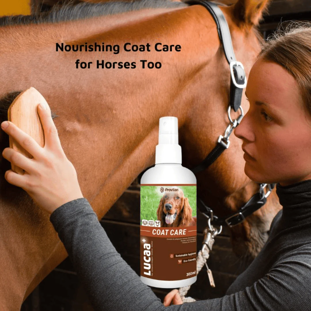 Natural Coat Care Spray |Provilan Lucaa+ - Image 3