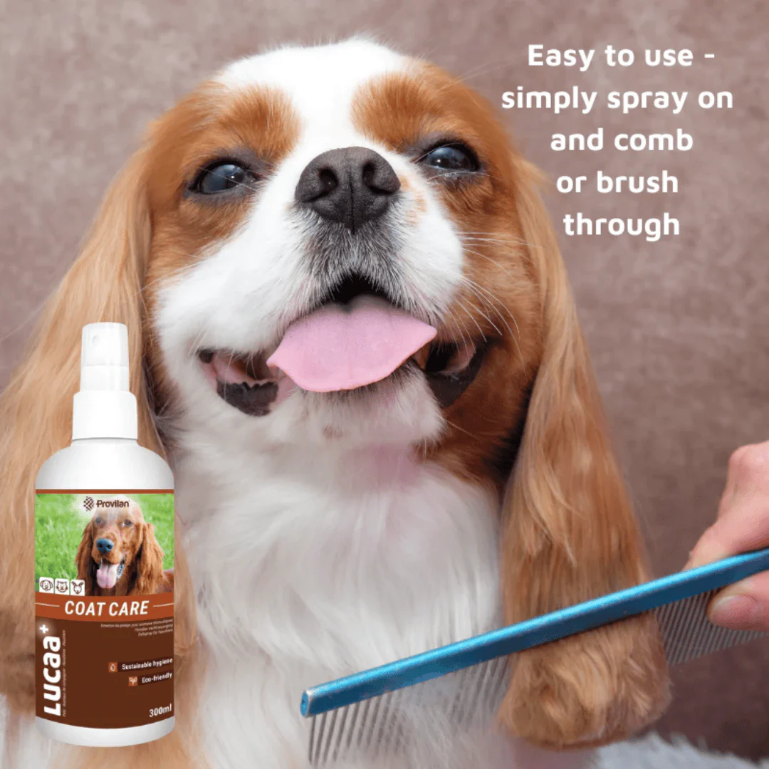 Natural Coat Care Spray |Provilan Lucaa+ - Image 5