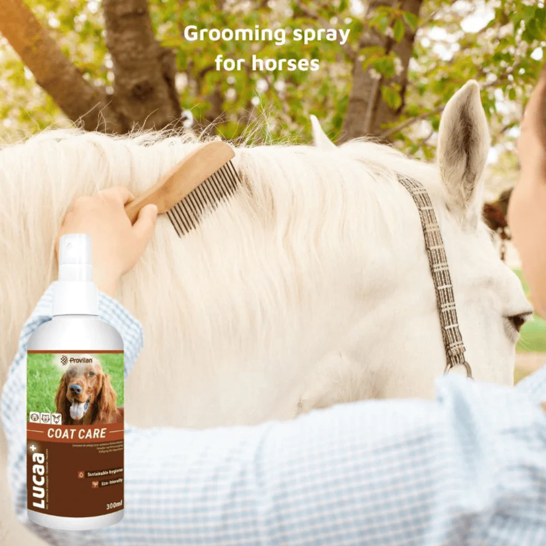 Natural Coat Care Spray |Provilan Lucaa+ - Image 6