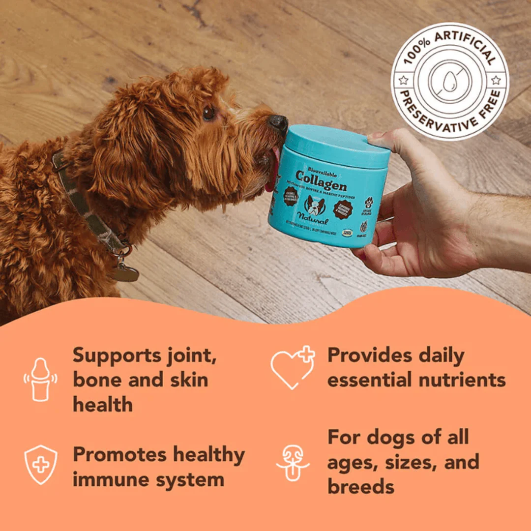 Natural Dog Company Collagen Supplement Chews - Image 3
