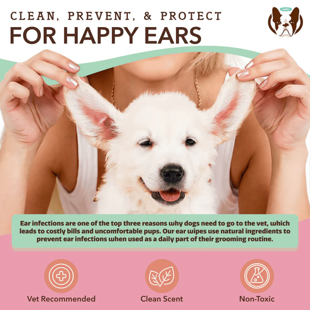 Natural Dog Company Ear Soother Wipes - Image 5