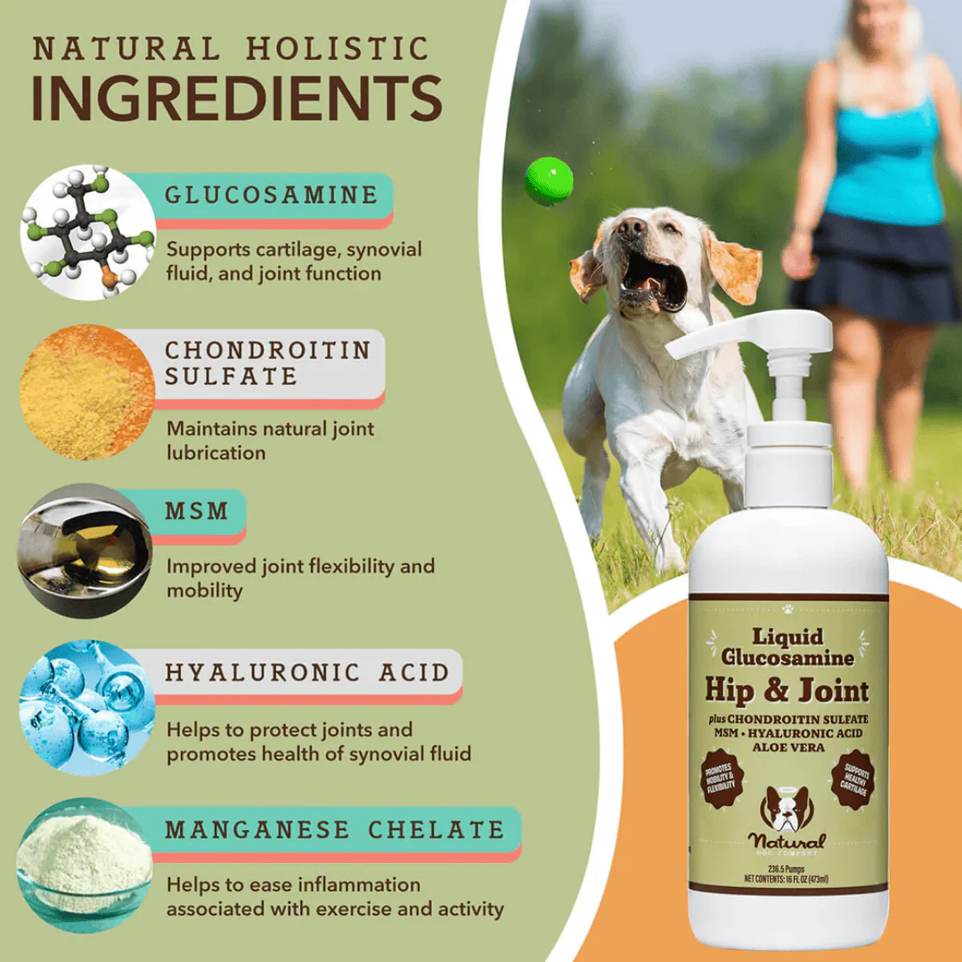 Natural Dog Company Liquid Glucosamine - Hip & Joint - Image 3